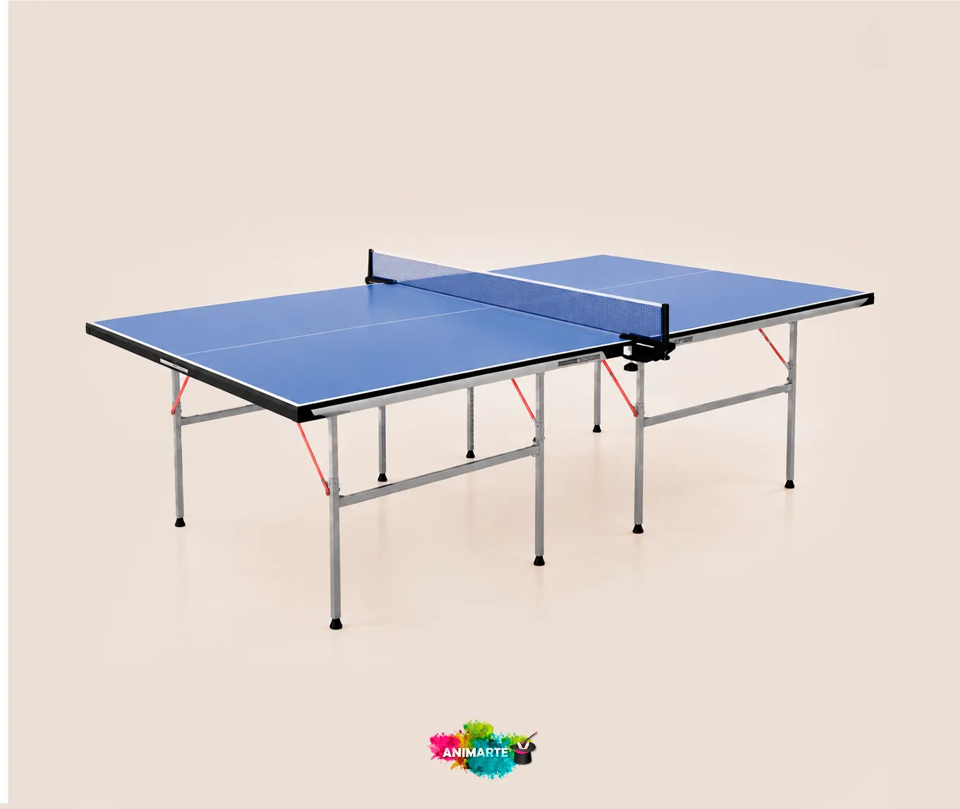 Ping Pong Table