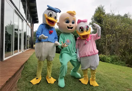 Mascotes patos bebés