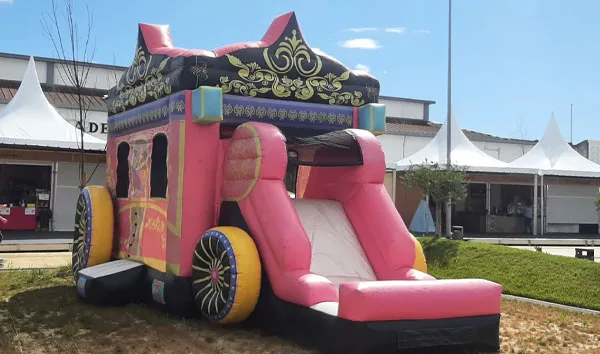 Princesses' Enchanted Carriage (photo 3)