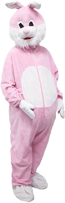 Pink Rabbit
